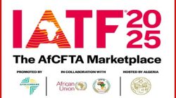 iatf2025 (1)