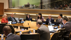 Forum politique de haut niveau sur le développement durable : l'Algérie organise un évènement parallèle à l'ONU