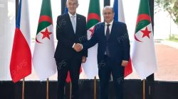 Le Premier ministre s'entretient avec son homologue tchèque PM_Al_tcheque